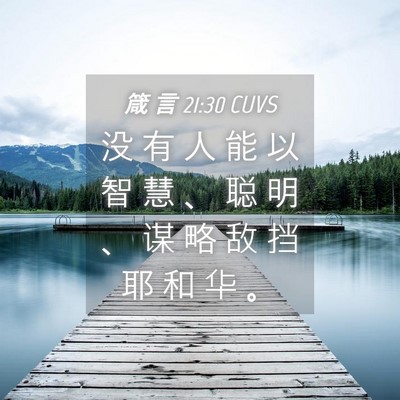 Picture 04 - 箴 言 21:30 CUVS - 没 有 人 能 以 智 慧 、 聪 明 、 谋 - Bible Verse Picture