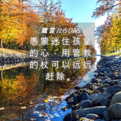 Picture 04 - 箴 言 22:15 CUVS - 愚 蒙 迷 住 孩 童 的 心 ， 用 管 教 - Bible Verse Picture