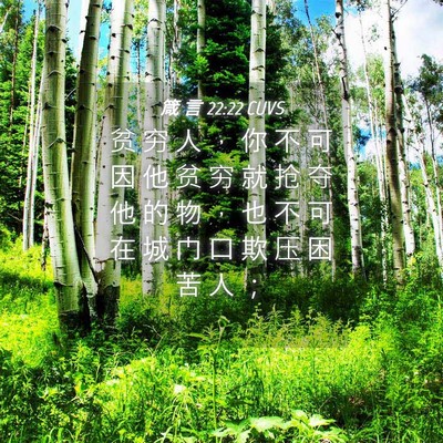 Picture 04 - 箴 言 22:22 CUVS - 贫 穷 人 ， 你 不 可 因 他 贫 穷 就 - Bible Verse Picture