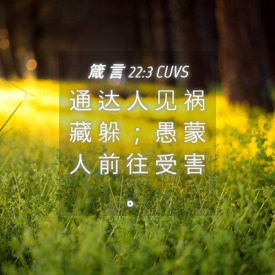 Picture 04 - 箴 言 22:3 CUVS - 通 达 人 见 祸 藏 躲 ； 愚 蒙 人 前 - Bible Verse Picture
