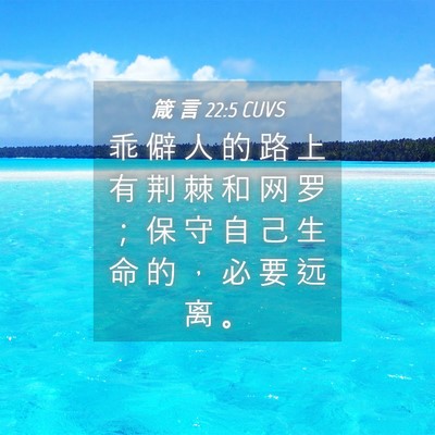 Picture 04 - 箴 言 22:5 CUVS - 乖 僻 人 的 路 上 有 荆 棘 和 网 罗 - Bible Verse Picture