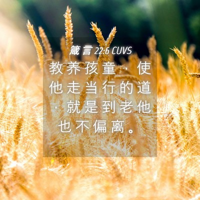 Picture 04 - 箴 言 22:6 CUVS - 教 养 孩 童 ， 使 他 走 当 行 的 道 - Bible Verse Picture