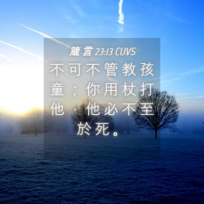 Picture 04 - 箴 言 23:13 CUVS - 不 可 不 管 教 孩 童 ； 你 用 杖 打 - Bible Verse Picture