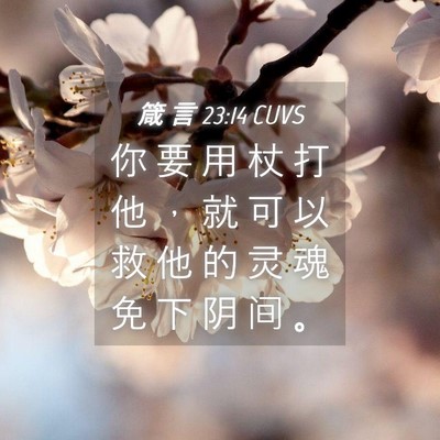 Picture 04 - 箴 言 23:14 CUVS - 你 要 用 杖 打 他 ， 就 可 以 救 他 - Bible Verse Picture