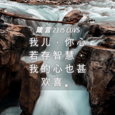 Picture 04 - 箴 言 23:15 CUVS - 我 儿 ， 你 心 若 存 智 慧 ， 我 的 - Bible Verse Picture