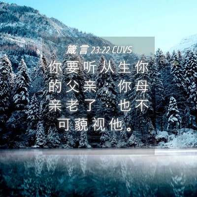 Picture 04 - 箴 言 23:22 CUVS - 你 要 听 从 生 你 的 父 亲 ； 你 母 - Bible Verse Picture