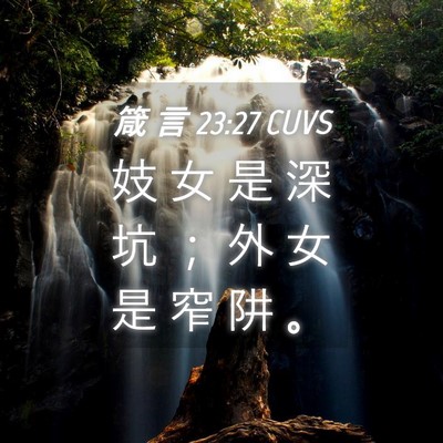Picture 04 - 箴 言 23:27 CUVS - 妓 女 是 深 坑 ； 外 女 是 窄 阱 - Bible Verse Picture