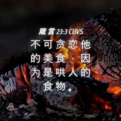 Picture 04 - 箴 言 23:3 CUVS - 不 可 贪 恋 他 的 美 食 ， 因 为 是 - Bible Verse Picture