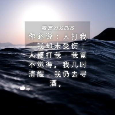 Picture 04 - 箴 言 23:35 CUVS - 你 必 说 ： 人 打 我 ， 我 却 未 受 - Bible Verse Picture