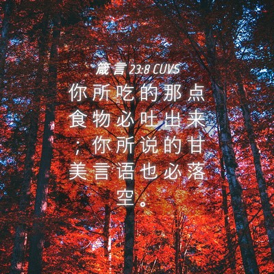 Picture 04 - 箴 言 23:8 CUVS - 你 所 吃 的 那 点 食 物 必 吐 出 来 - Bible Verse Picture