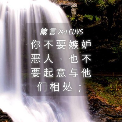 Picture 04 - 箴 言 24:1 CUVS - 你 不 要 嫉 妒 恶 人 ， 也 不 要 起 - Bible Verse Picture