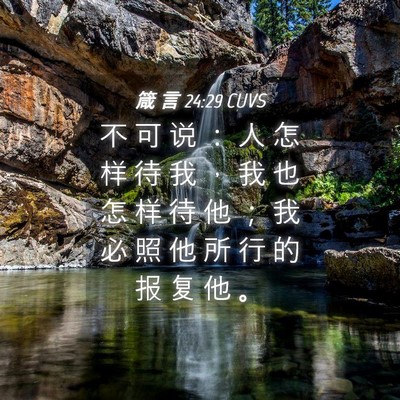 Picture 04 - 箴 言 24:29 CUVS - 不 可 说 ： 人 怎 样 待 我 ， 我 也 - Bible Verse Picture