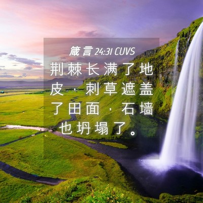 Picture 04 - 箴 言 24:31 CUVS - 荆 棘 长 满 了 地 皮 ， 刺 草 遮 盖 - Bible Verse Picture
