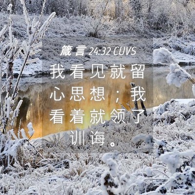 Picture 04 - 箴 言 24:32 CUVS - 我 看 见 就 留 心 思 想 ； 我 看 着 - Bible Verse Picture