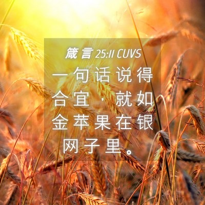 Picture 04 - 箴 言 25:11 CUVS - 一 句 话 说 得 合 宜 ， 就 如 金 苹 - Bible Verse Picture