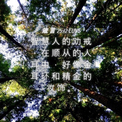 Picture 04 - 箴 言 25:12 CUVS - 智 慧 人 的 劝 戒 ， 在 顺 从 的 人 - Bible Verse Picture