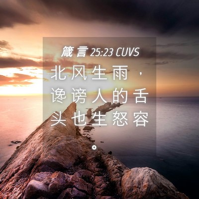 Picture 04 - 箴 言 25:23 CUVS - 北 风 生 雨 ， 谗 谤 人 的 舌 头 也 - Bible Verse Picture