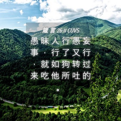 Picture 04 - 箴 言 26:11 CUVS - 愚 昧 人 行 愚 妄 事 ， 行 了 又 行 - Bible Verse Picture
