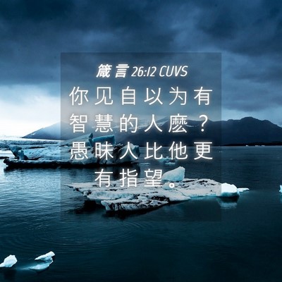 Picture 04 - 箴 言 26:12 CUVS - 你 见 自 以 为 有 智 慧 的 人 麽 ？ - Bible Verse Picture