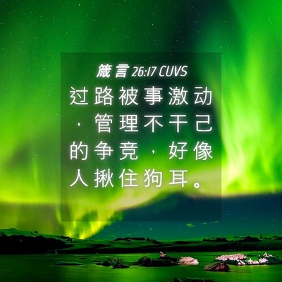 Picture 04 - 箴 言 26:17 CUVS - 过 路 被 事 激 动 ， 管 理 不 干 己 - Bible Verse Picture
