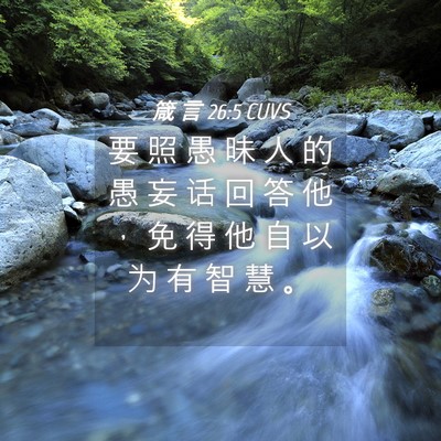 Picture 04 - 箴 言 26:5 CUVS - 要 照 愚 昧 人 的 愚 妄 话 回 答 他 - Bible Verse Picture