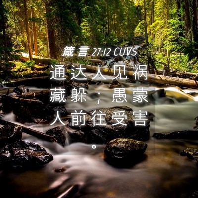 Picture 04 - 箴 言 27:12 CUVS - 通 达 人 见 祸 藏 躲 ； 愚 蒙 人 前 - Bible Verse Picture