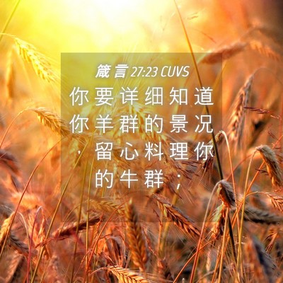 Picture 04 - 箴 言 27:23 CUVS - 你 要 详 细 知 道 你 羊 群 的 景 况 - Bible Verse Picture