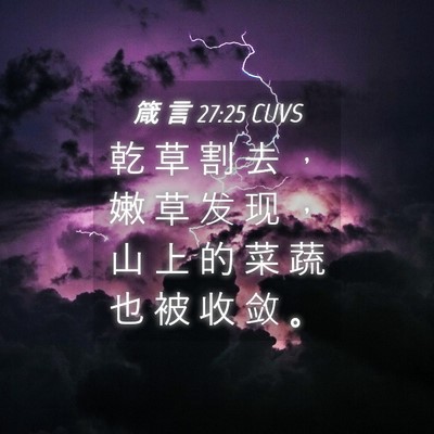 Picture 04 - 箴 言 27:25 CUVS - 乾 草 割 去 ， 嫩 草 发 现 ， 山 上 - Bible Verse Picture