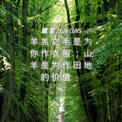 Picture 04 - 箴 言 27:26 CUVS - 羊 羔 之 毛 是 为 你 作 衣 服 ； 山 - Bible Verse Picture