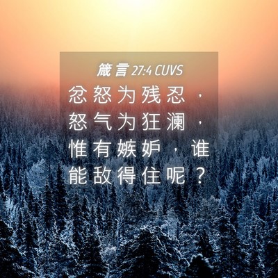 Picture 04 - 箴 言 27:4 CUVS - 忿 怒 为 残 忍 ， 怒 气 为 狂 澜 ， - Bible Verse Picture