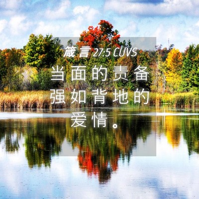 Picture 04 - 箴 言 27:5 CUVS - 当 面 的 责 备 强 如 背 地 的 爱 情 - Bible Verse Picture