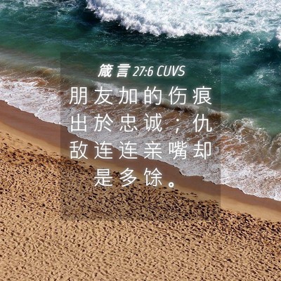 Picture 04 - 箴 言 27:6 CUVS - 朋 友 加 的 伤 痕 出 於 忠 诚 ； 仇 - Bible Verse Picture