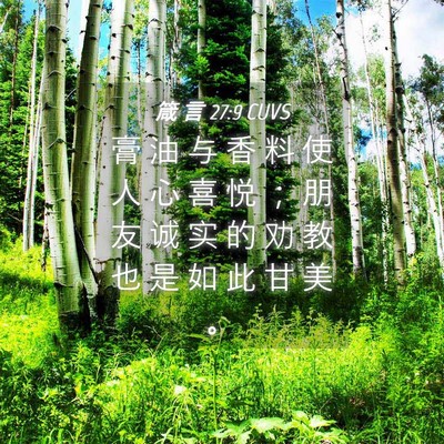 Picture 04 - 箴 言 27:9 CUVS - 膏 油 与 香 料 使 人 心 喜 悦 ； 朋 - Bible Verse Picture