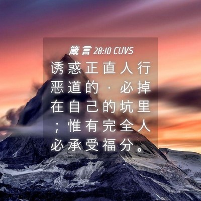 Picture 04 - 箴 言 28:10 CUVS - 诱 惑 正 直 人 行 恶 道 的 ， 必 掉 - Bible Verse Picture