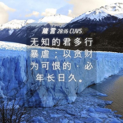 Picture 04 - 箴 言 28:16 CUVS - 无 知 的 君 多 行 暴 虐 ； 以 贪 财 - Bible Verse Picture