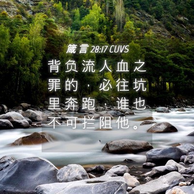 Picture 04 - 箴 言 28:17 CUVS - 背 负 流 人 血 之 罪 的 ， 必 往 坑 - Bible Verse Picture