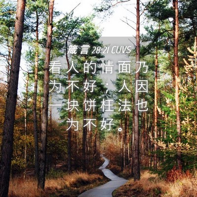 Picture 04 - 箴 言 28:21 CUVS - 看 人 的 情 面 乃 为 不 好 ； 人 因 - Bible Verse Picture