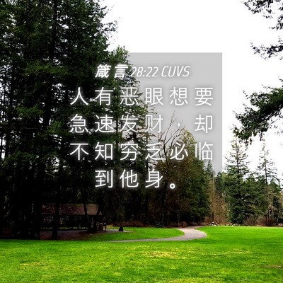 Picture 04 - 箴 言 28:22 CUVS - 人 有 恶 眼 想 要 急 速 发 财 ， 却 - Bible Verse Picture