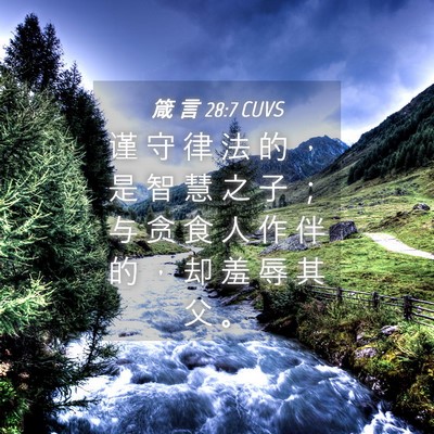 Picture 04 - 箴 言 28:7 CUVS - 谨 守 律 法 的 ， 是 智 慧 之 子 ； - Bible Verse Picture