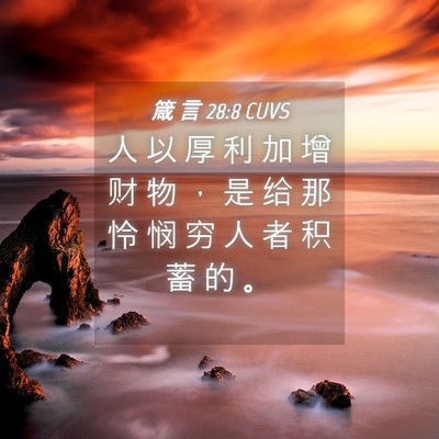 Picture 04 - 箴 言 28:8 CUVS - 人 以 厚 利 加 增 财 物 ， 是 给 那 - Bible Verse Picture