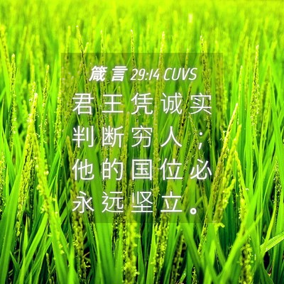 Picture 04 - 箴 言 29:14 CUVS - 君 王 凭 诚 实 判 断 穷 人 ； 他 的 - Bible Verse Picture