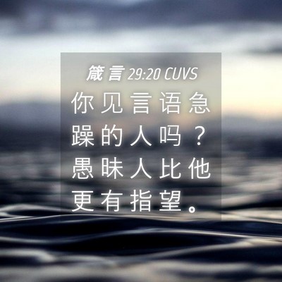 Picture 04 - 箴 言 29:20 CUVS - 你 见 言 语 急 躁 的 人 吗 ？ 愚 昧 - Bible Verse Picture