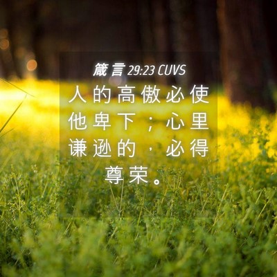 Picture 04 - 箴 言 29:23 CUVS - 人 的 高 傲 必 使 他 卑 下 ； 心 里 - Bible Verse Picture