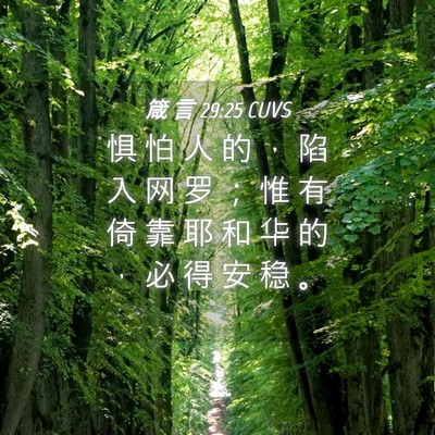 Picture 04 - 箴 言 29:25 CUVS - 惧 怕 人 的 ， 陷 入 网 罗 ； 惟 有 - Bible Verse Picture