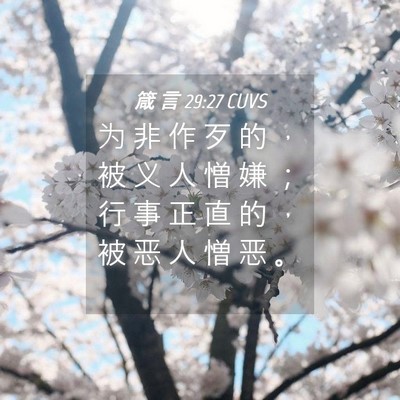 Picture 04 - 箴 言 29:27 CUVS - 为 非 作 歹 的 ， 被 义 人 憎 嫌 ； - Bible Verse Picture