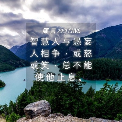 Picture 04 - 箴 言 29:9 CUVS - 智 慧 人 与 愚 妄 人 相 争 ， 或 怒 - Bible Verse Picture