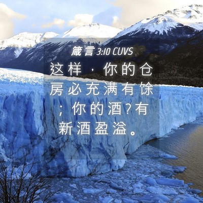 Picture 04 - 箴 言 3:10 CUVS - 这 样 ， 你 的 仓 房 必 充 满 有 馀 - Bible Verse Picture