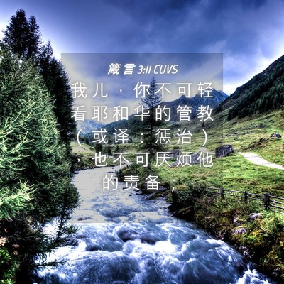 Picture 04 - 箴 言 3:11 CUVS - 我 儿 ， 你 不 可 轻 看 耶 和 华 的 - Bible Verse Picture
