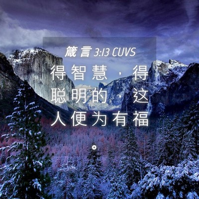 Picture 04 - 箴 言 3:13 CUVS - 得 智 慧 ， 得 聪 明 的 ， 这 人 便 - Bible Verse Picture