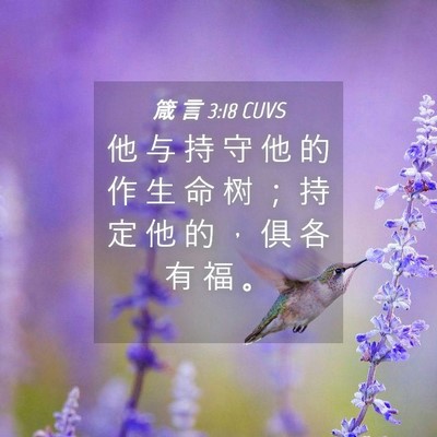 Picture 04 - 箴 言 3:18 CUVS - 他 与 持 守 他 的 作 生 命 树 ； 持 - Bible Verse Picture